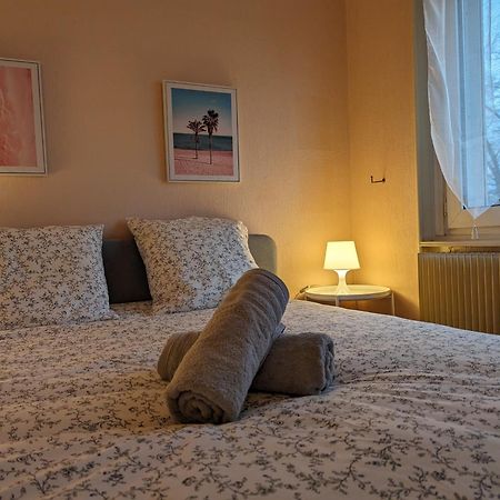 Le Balois - Appartement 2 Chambres, Salon, Cuisine Equipee, Parking Et Wifi Gratuit 뮐루즈 외부 사진