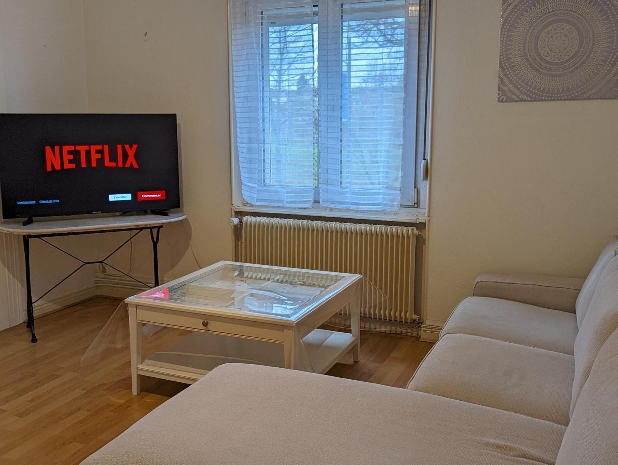 Le Balois - Appartement 2 Chambres, Salon, Cuisine Equipee, Parking Et Wifi Gratuit 뮐루즈 외부 사진