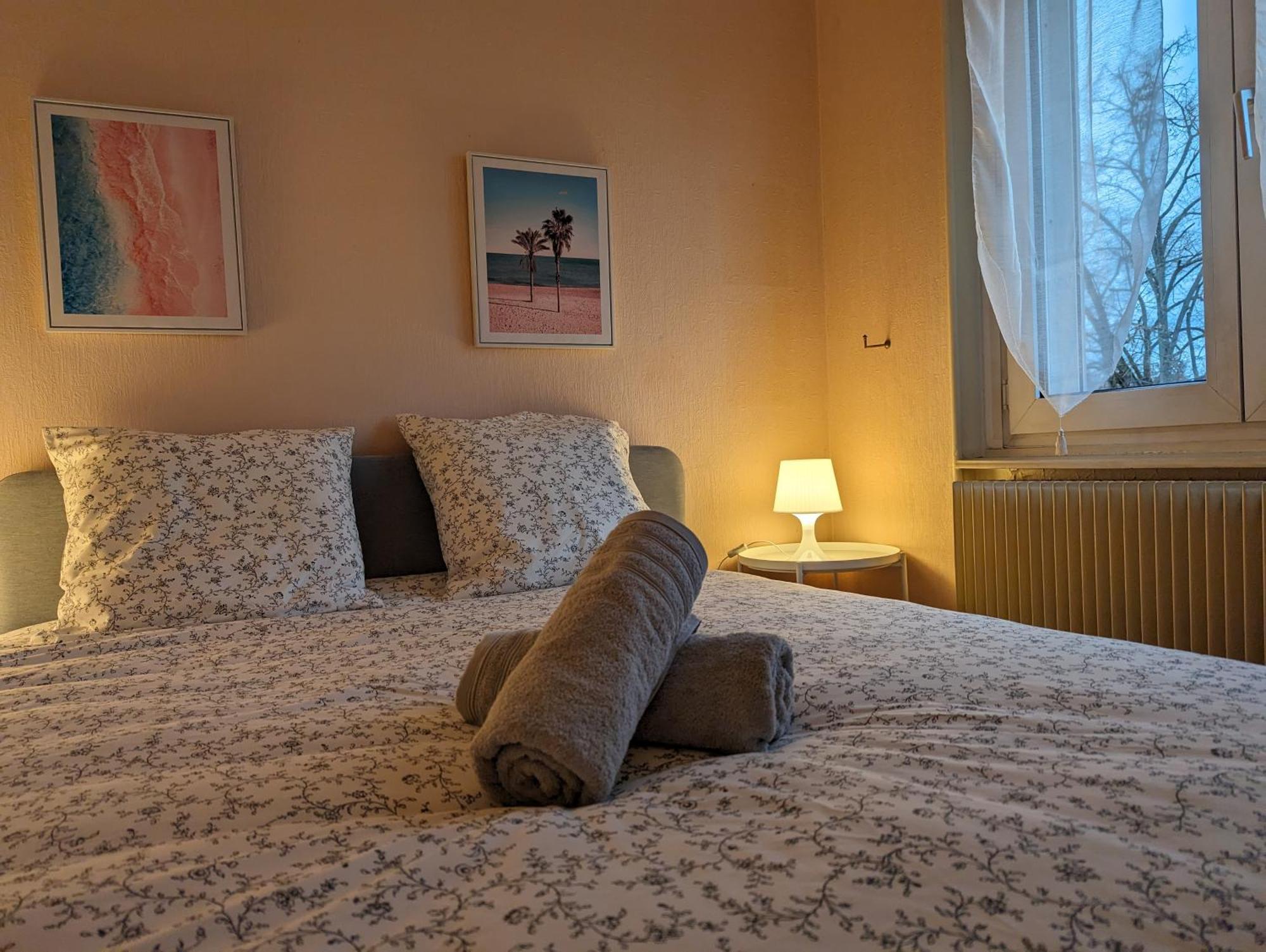 Le Balois - Appartement 2 Chambres, Salon, Cuisine Equipee, Parking Et Wifi Gratuit 뮐루즈 외부 사진
